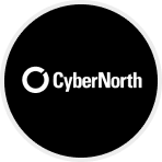 Cyber North Logo